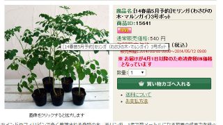 Thumbnail of post image 143