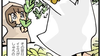 Thumbnail of post image 013