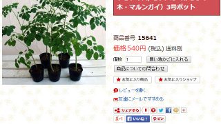 Thumbnail of post image 081