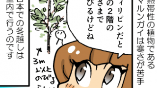 Thumbnail of post image 162