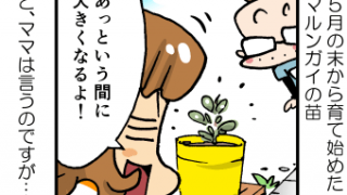 Thumbnail of post image 124