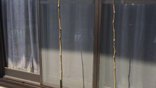 Thumbnail of post image 025