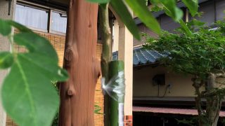 Thumbnail of post image 076